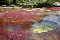 调数校花小说